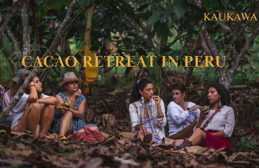 A Journey Rooted in Culture, Ceremony & Cacao