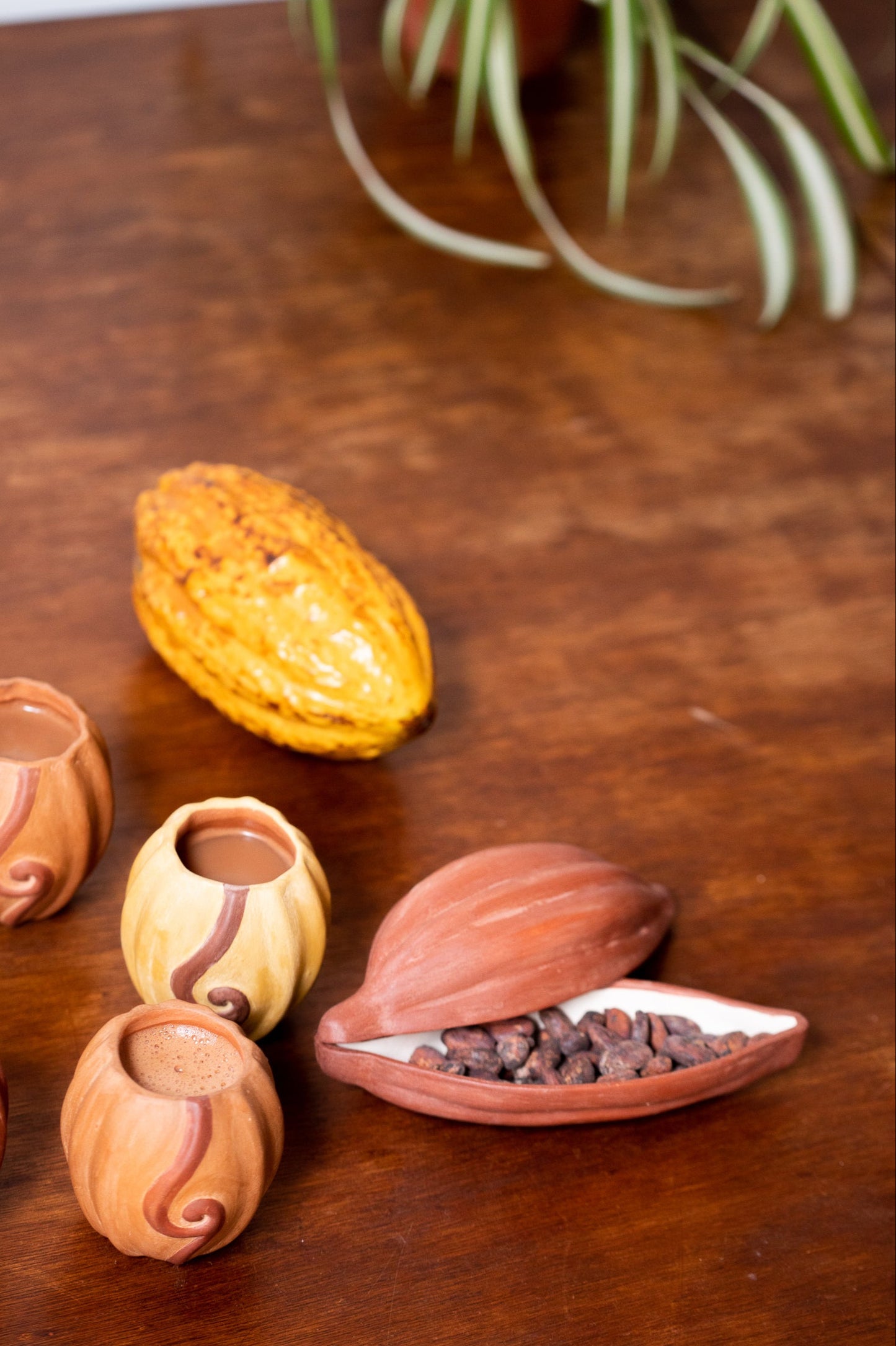 Ceremonial Cacao Pod Ceramics Peru