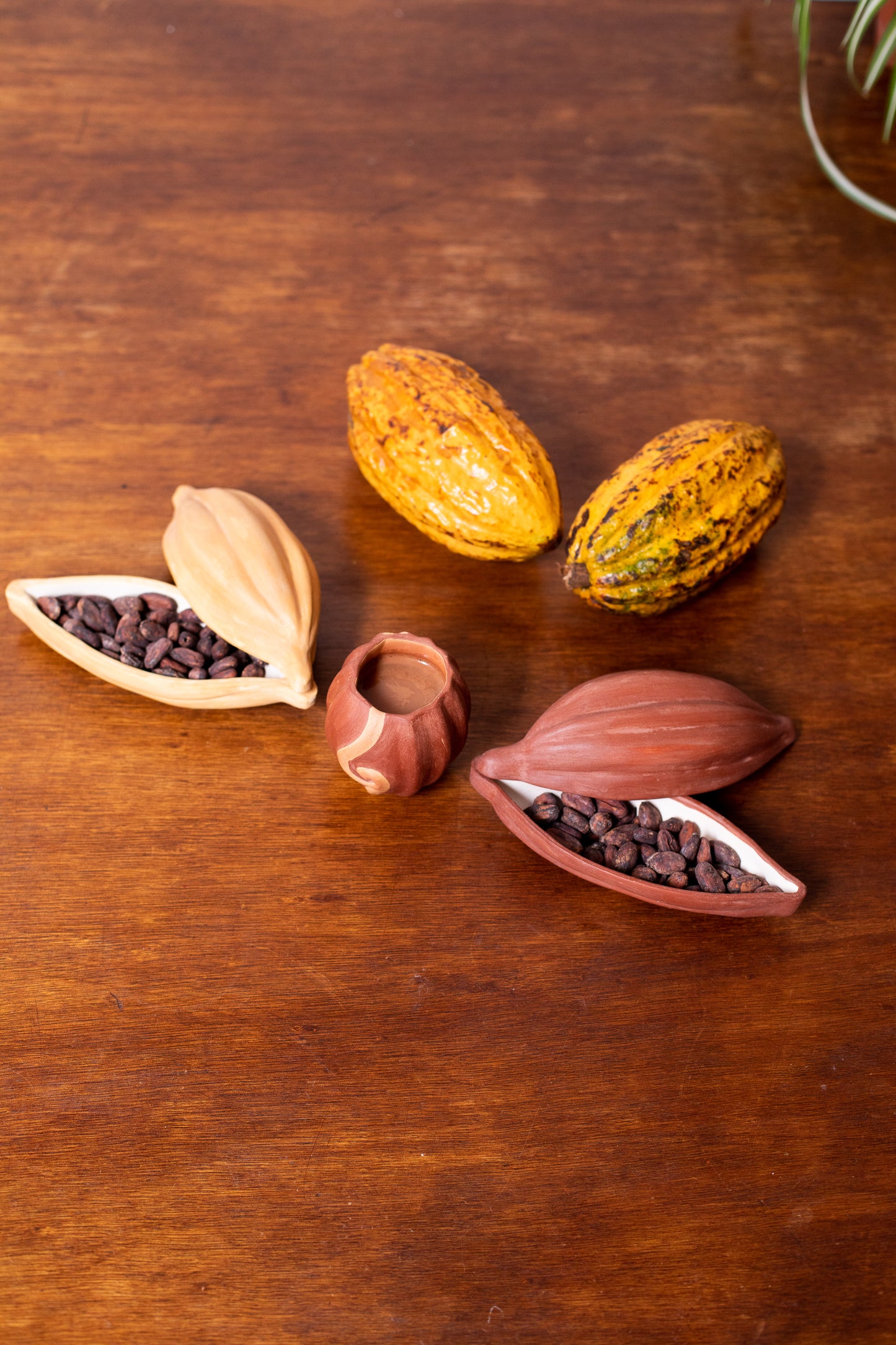 Ceremonial Cacao Pod