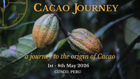 You're invited to our last Cacao Retreat of 2026 in Peru.