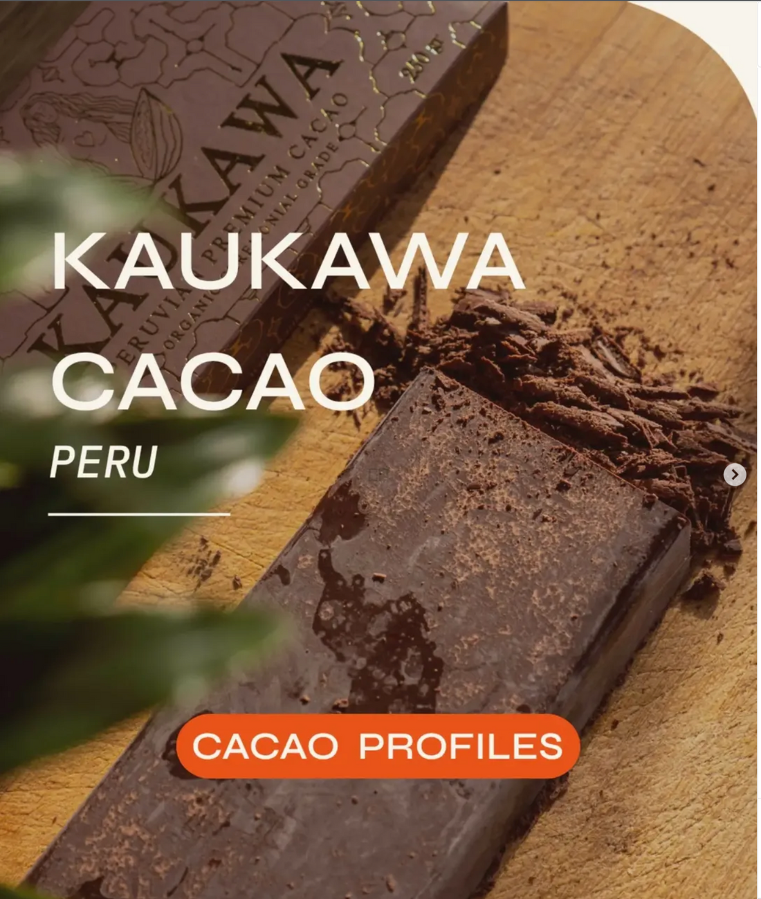 Kaukawa Cacao Featured by Cacao Insights