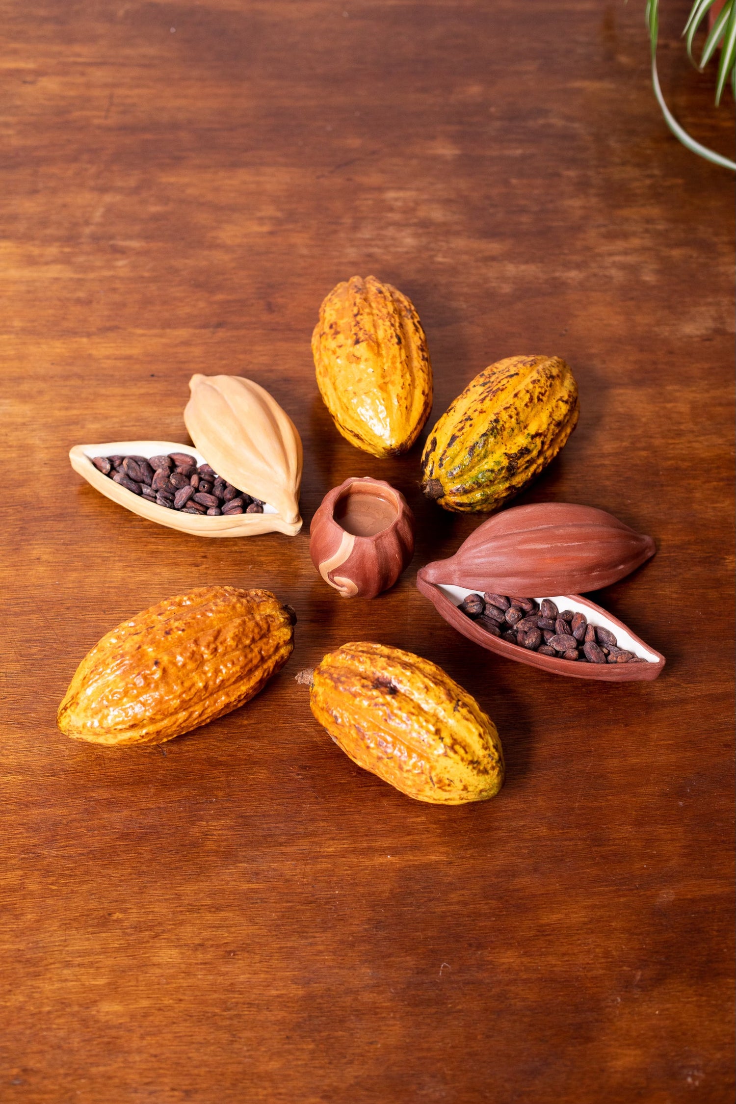 Cacao Ritual Clay Collection