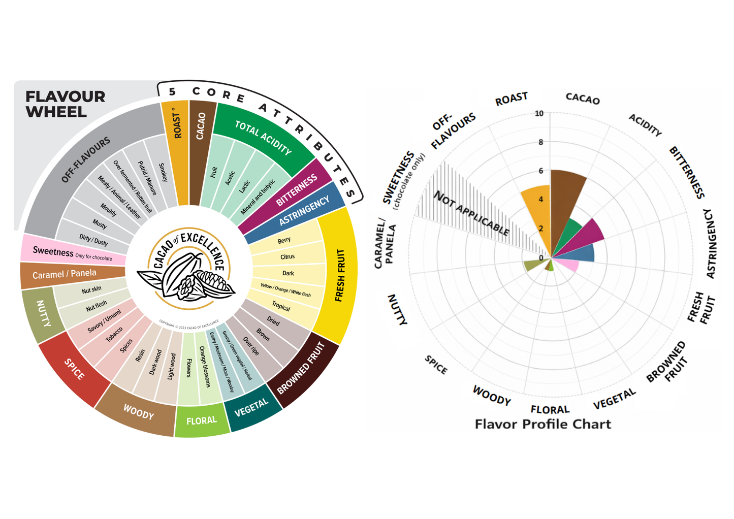 Ceremonial Cacao Bar (250 gr)