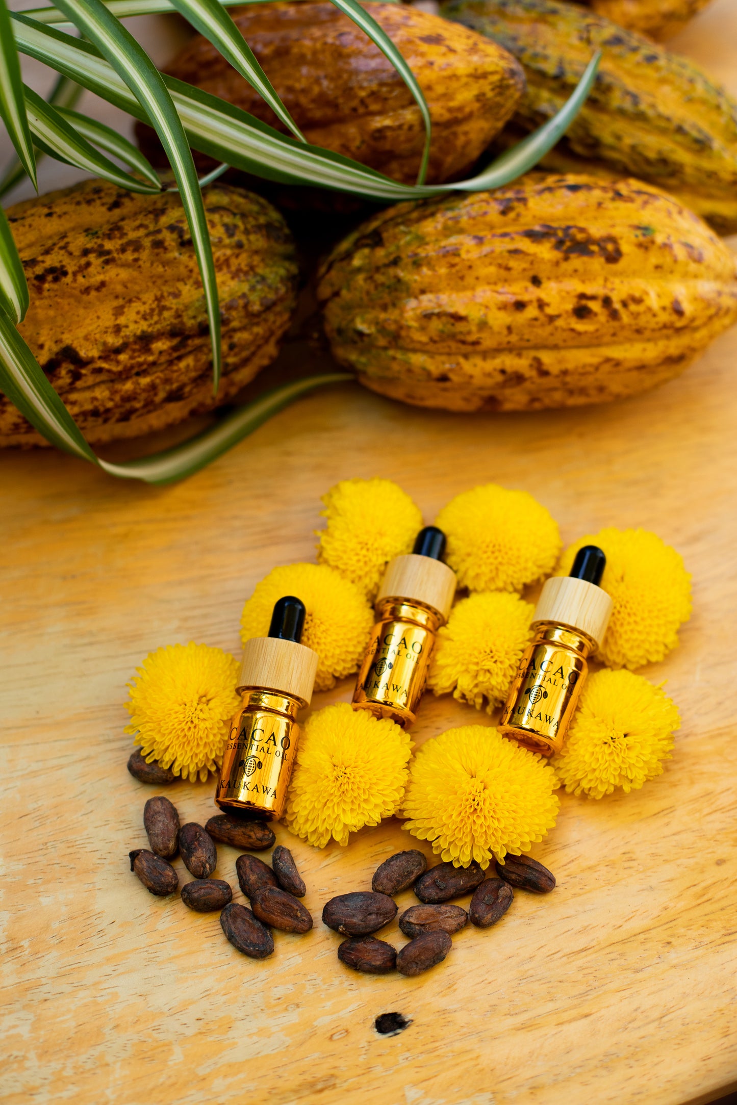 Cacao Essential Oil (5ml)